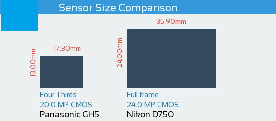 Panasonic Lumix DMC GH5 vs Nikon D750 Sensor Comparison