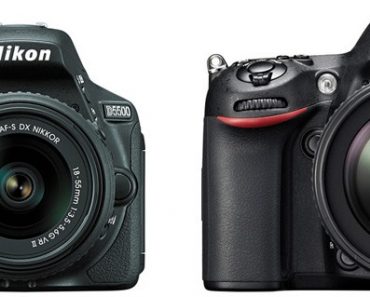 Nikon D5500 vs Nikon D7100 – Comparison