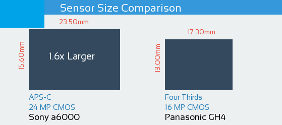 Sony A6000 vs Panasonic GH4: Sensor Comparison