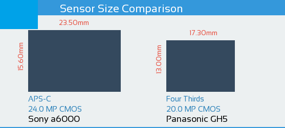 Sony A6000 vs Panasonic GH5 Sensor Comparison