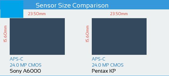 Sony A6000 vs Pentax KP Sensor Comparison