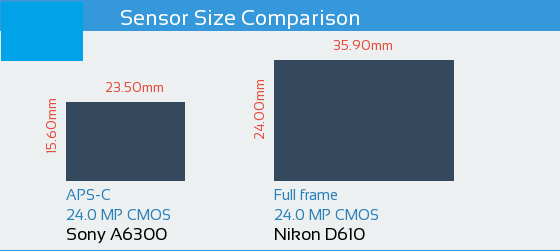 Sony A6300 vs Nikon D610: Sensor Comparison