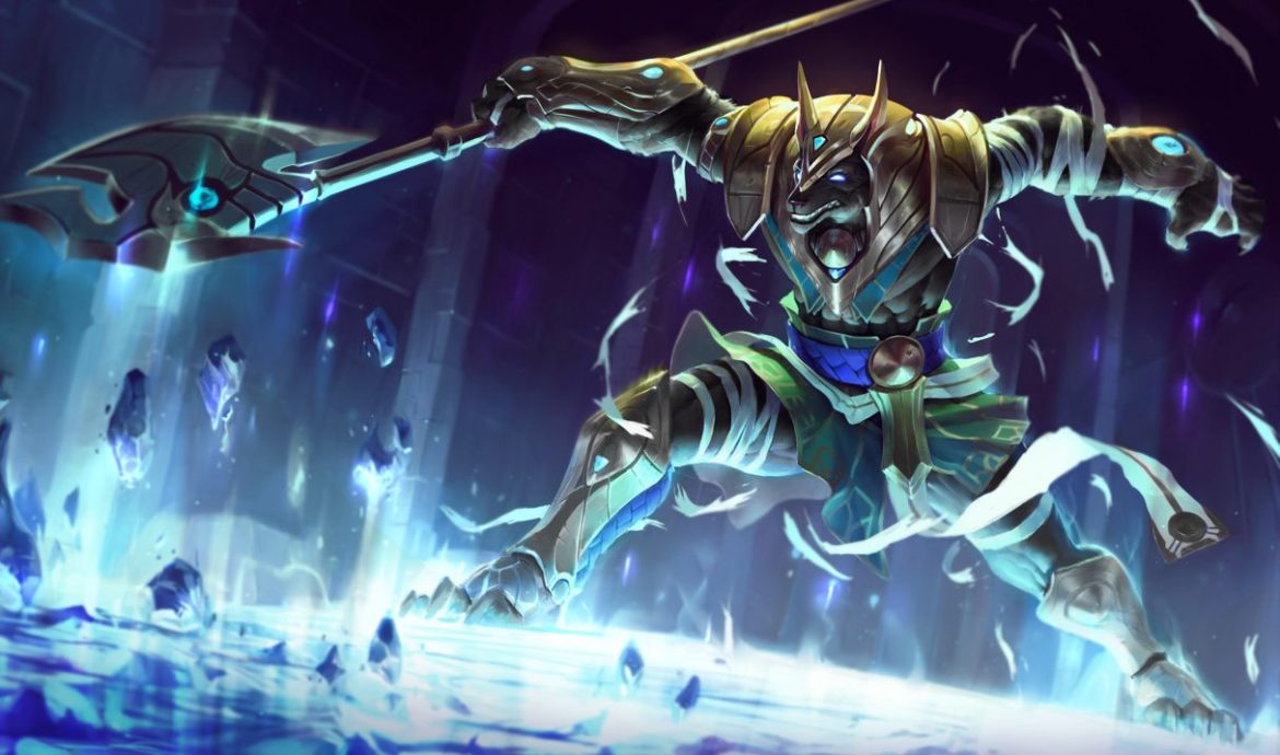 counter nasus