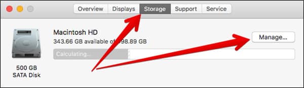 Click-on-Storage-Then-Manage-in-macOS-Sierra