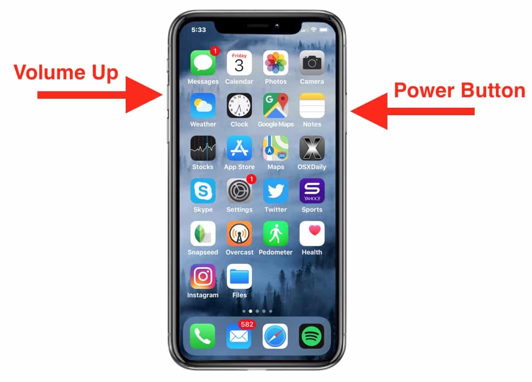 how to take a screenshot on iPhone X