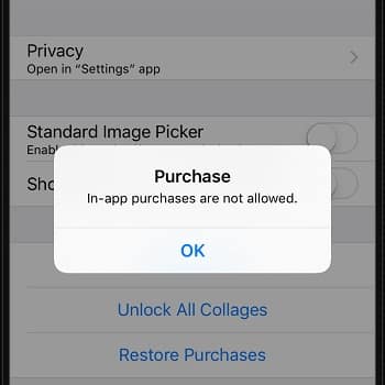 Fix in-app purchases are not allowed on iPhone and iPad