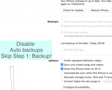 disable step 1 backup on sync apple